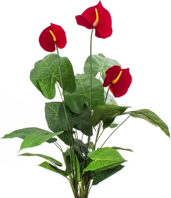 Produktbild von artplants.de Künstliches Anthurium, 3 Blüten, 50 Blätter, 70cm - Kunstanthurium - Flamingoblume