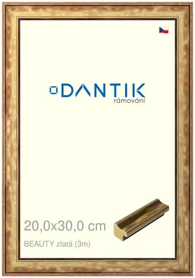Obrázok produktu pre DANTIK rám 20x30 | BEAUTY gold (Glass Clear)