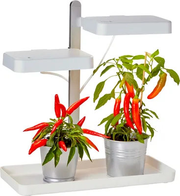 Produktbild von LED Pflanzenlampe Pflanzenleuchte Gewächslampe 30W Grow Kräutergarten Timerfuntion Innengarten