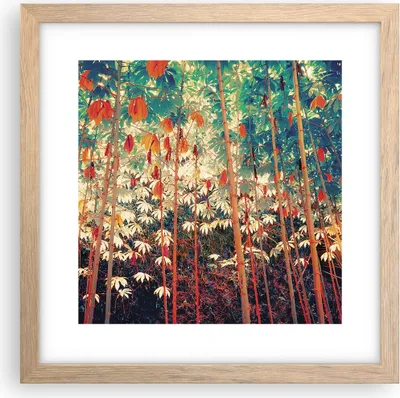 Produktbild von Gerahmtes Poster - Rahmen in heller Eiche - Pflanzen tropisch orange - 30x30 cm - Wand Bild - Wanddeko - Wandbilder - Kunstposter - Wandposter - Bilderrahmen - Bilder - Kunstdruck - P2NAC30x30-4393