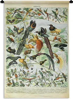 Produktbild von MuchoWow® Wandteppich Wandbehang Vögel - Natur - Tiere 90x135 cm Tapisserie Dekoration Wandtuch - Baumwolle - Wandskulptur