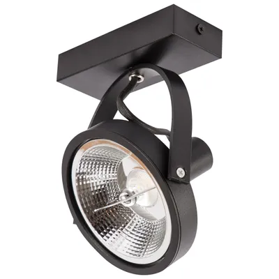 Produktbild von MasterLED AR111 LED Wandleuchte schwarz matt schwenkbar 350° GU10 für LED Leuchtmittel IP20