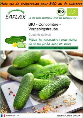 Image de SAFLAX Garden in the bag -- Concombre - Vorgebirgstraube  - 15 graines - Cucumis