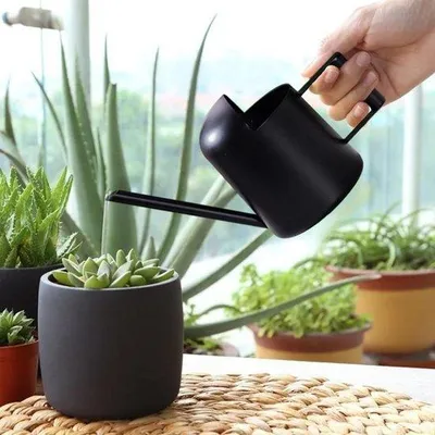 Produktbild von Mini-Tröpfenpumpe - 300 ml Mini-Wasserpumpe Edelstahl - Bonsai-Blumen Pflanzen - Schwarz