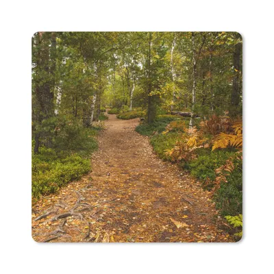 Produktbild von MuchoWow® Mauspad Mousepad Wald - Weg - Herbst - Laub 30x30 cm - Mousepads - Maus Mat - Pad - Mausunterlage - Gaming