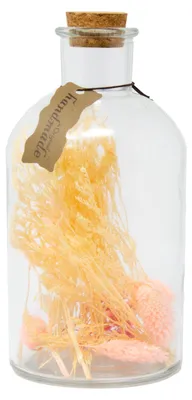 Produktbild von Trockenblumen in Flasche mit Korkverschluss Apricot 20 x Ø 10 cm