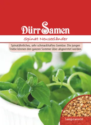 Produktbild von Dürr-Samen - Spinat Neuseeländer (Tetragonia tetragoinoides) - Saatgut - 0557