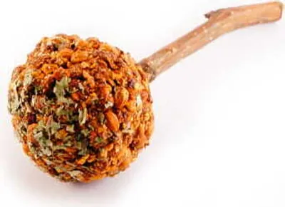 Immagine prodotto di Snack a bastoncino con broccoli e biancospino - per tutti i pappagalli