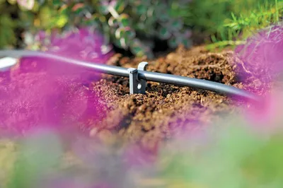 Produktbild von Hozelock Ersatzteil Schwimmerbolzen 4 mm Durchmesser für Bewässerungssysteme