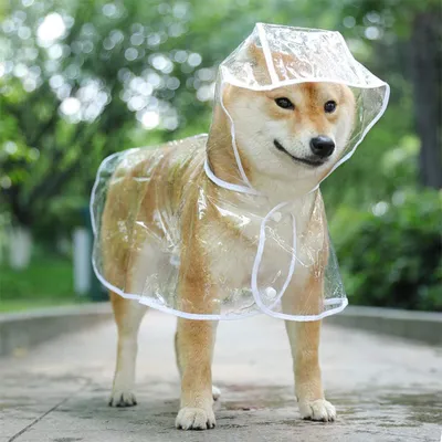 Produktbild von Regenmantel für Hunde und Katzen mit Kapuze, verstellbar, PVC, transparent, wasserdicht, ultraleicht, für kleine Hunde