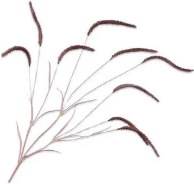 Produktbild von Silk-ka Kunstblume - Kunstzweig Graszweig Bordeaux 105 cm