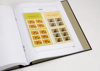 Produktbild von DAVO 13794 Luxus Nachtrag Frankreich Markenheftchen 2004