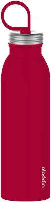 Produktbild von aladdin Chilled Thermavac Wasserflasche