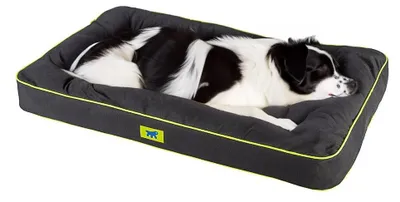 Immagine prodotto di Cuccia per cani Ferplast Polo 95 Nero 95 x 60 x 8 cm 81089017