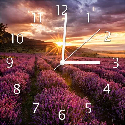 Produktbild von Wallario Design Wanduhr Lavendelfeld bei Sonnenuntergang - Sonnenstrahlen aus Echtglas, Größe 30 x 30 cm