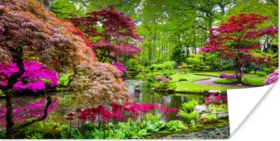 Produktbild von MuchoWow® Poster Bäume - Blumen - Japanisch - Natur - Wasser 120x60 cm - Bild