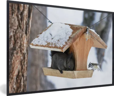 Produktbild von MuchoWow® MuchoWow® Gerahmtes Poster Eichhörnchen - Vogelhaus - Schnee 30x20 cm - Poster mit zchwarzem Bilderrahmen - Kunstdruck - Bild-Poster
