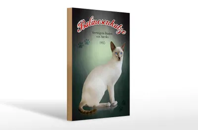 Produktbild von Holzschild Katze 20x30cm Balinesenkatze Amerika 1950