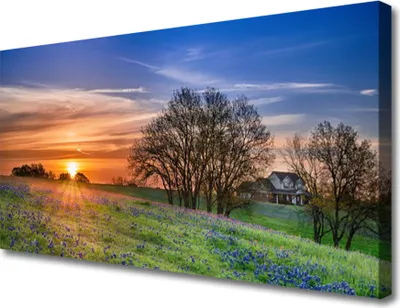 Produktbild von Tulup Leinwand-Bilder 100x50 Wandbild Canvas Kunstdruck Wiese Sonne Landschaft