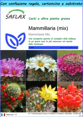Immagine prodotto di SAFLAX Set regalo - Mammillaria (mix) - 40 semi - Mammilaria
