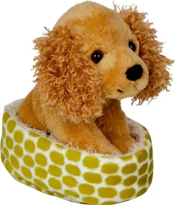 Produktbild von Coppenrath Verlag Cocker Spaniel Chip im Korb
