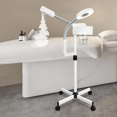 Produktbild von 2-in-1 Gesichtsgerät - Gesichtsdampfer + 5x Lupenlampe - Ozon - Heißer Dampf 45–50 °C - Netzbetrieb - EU-Stecker -