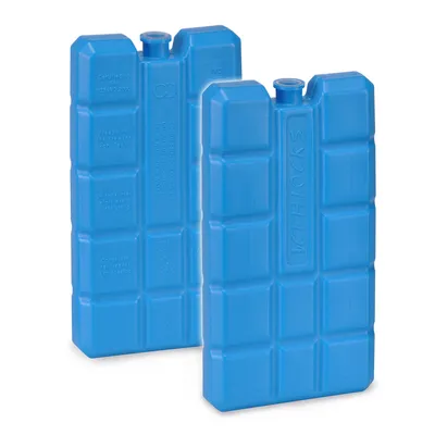 Produktbild von Kühlakku 200g 2er Set blau Kühlelement 15x8x2cm für Kühlbox 2 Stück