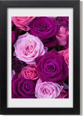 Produktbild von Bild 20x30 MDF-Rahmen, Wandkunst Rosa Rosen