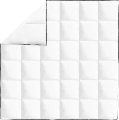 Produktbild von vidaXL Zimní péřová deka 200x200 cm