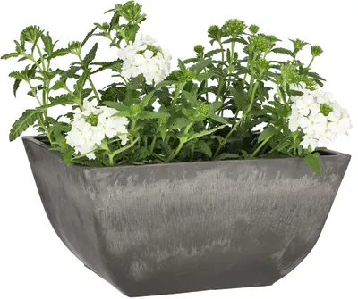 Obrázek produktu pro KOTARBAU® květináč, pěstební nádoba vyrobená z recyklovaných materiálů, rozměry 25x25x12,7 cm, barva šedá