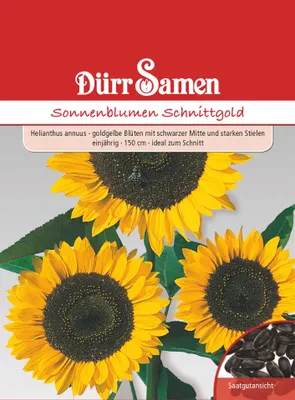 Produktbild von Sonnenblume Schnittgold | Sonnenblumensamen von Dürr Samen