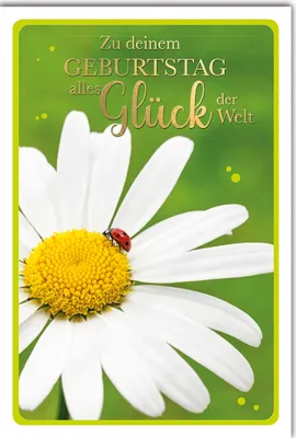 Produktbild von Geburtstag - Glückwunschkarte im Format 11,5 x 17 cm - Gänseblümchen