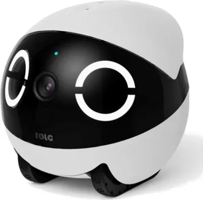 Produktbild von Enabot Rola Mini Pet Monitor, Roboter, WLAN, 110 mm