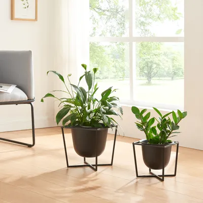 Two black metal plant stands with plants in them are placed on a wooden floor in front of a large window.