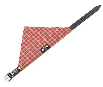 Produktbild von Karlie KOLIBRI Halsband - Rot - 25 mm, 62 cm