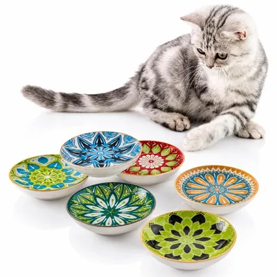 Immagine prodotto di Omgoods - Set di 6 ciotole in Vetroceramica per cibo per gatti - Ciotole colorate per cibo e acqua per gatti