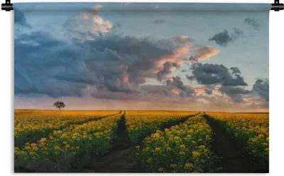 Produktbild von MuchoWow® Wandteppich Wandbehang Blumen - Gelb - Sonnenuntergang 60x40 cm Tapisserie Dekoration Wandtuch - Wanddekorationen