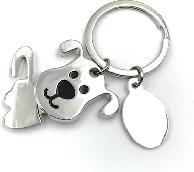 Produktbild von Onwomania Hund niedlich großer Schlüsselanhänger Metall Glücksbringer in Alu Geschenkbox, ideal zum Verschenken