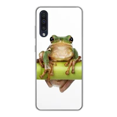 Produktbild von MuchoWow® Handyhülle Schutzhülle Hülle für Samsung Galaxy A30s Frosch - Bambus - Weiß Silikon Softcase Handy Hülle - Karteninhaber