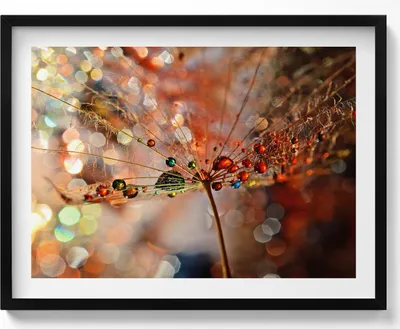 Produktbild von Gebläse und Tau– Wandbild mit Rahmen – Gerahmtes Bild  – Wanddekoration – 80x60 cm –  Schwarz Rahmen