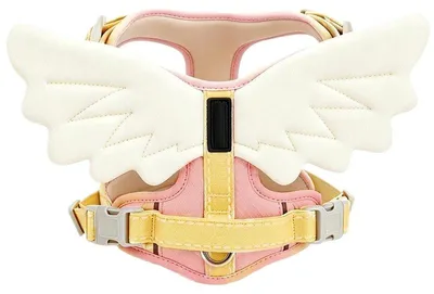 Image de Harnais pour chien d'extérieur avec des ailes d'ange en 3D, phosphorescent, réglable, avec une laisse, pour chiens de petite à grande taille, couleur violet, taille XXS