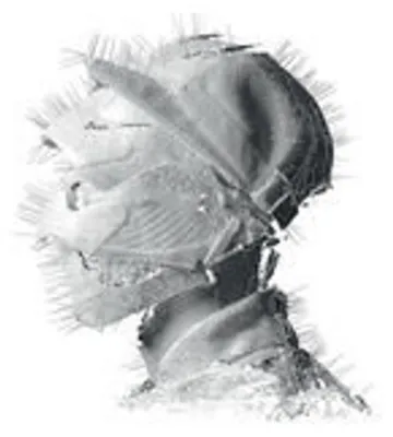 Image de Woodkid-The Golden Age