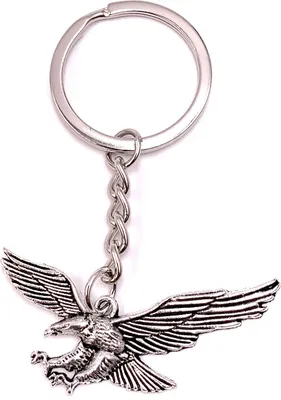 Image de Onwomania Porte-clés Buse Hibou Aigle Oiseau Argent Métal Pendentif Charm