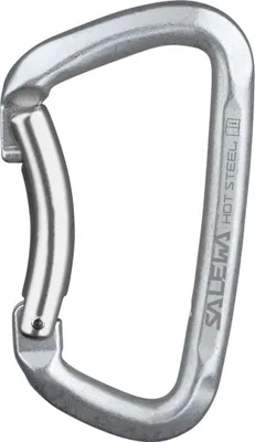 Image de Mousqueton Salewa Hot Steel Bent, couleur:steel, taille:UNI