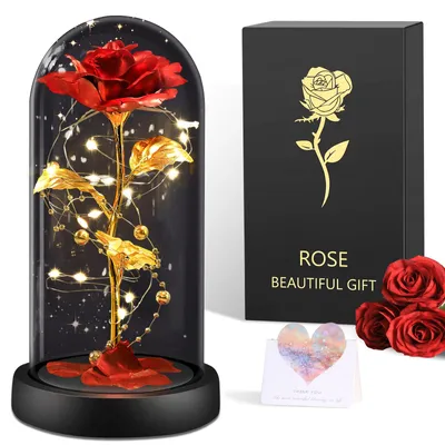 Ewige Rose im Glas, LED, 22 cm, inkl. Liebeskarte, Geschenkbox