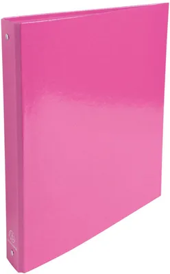 A pink ring binder is shown standing upright on a white background.