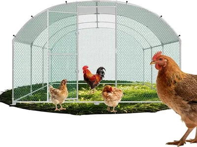 Produktbild von 3x6x2m Hühnerhaus Geflügelstall mit Wasserdichtetem PE Dach & Sicherheitsschloss Hühnerstall Verzinkter Stahl Freilaufgehege Kleintierstall mit Bogendach Freigehege für Hühner Kleintiere