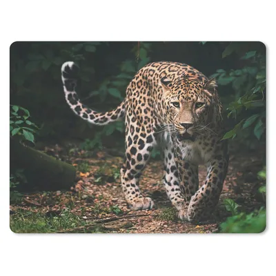 Produktbild von MuchoWow® Mauspad Mousepad Wildtiere - Leopard - Dschungel - Natur 40x30 cm - Mousepads - Maus Mat - Pad - Mausunterlage - Anti Rutsch