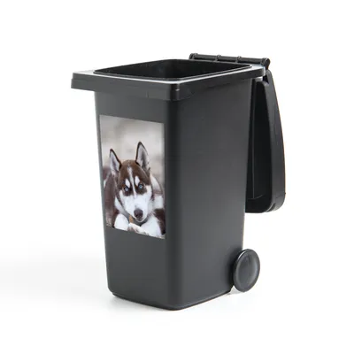 Obrázek produktu pro MuchoWow® Nálepka na odpadkový koš - Štěně leží na pláži - 60x40 cm