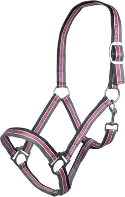 Produktbild von HKM Halfter -Genf-, Farbe:8526 schwarz/apfelgrün/rot, Größe:Warmblut